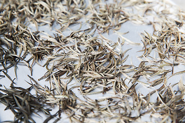 Image showing close up of tea raw drying
