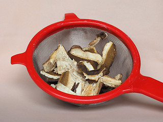 Image showing Porcini mushroom in colander