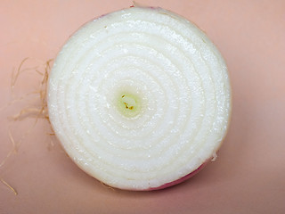 Image showing Onion vegetable sliced