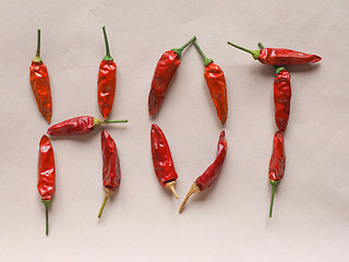 Image showing Hot chili pepper vegetables