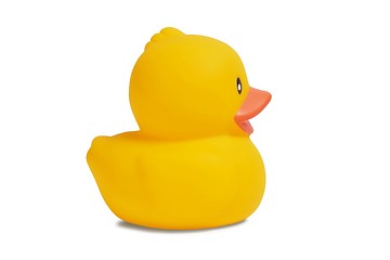 Image showing Rubber Duck