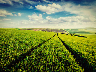 Image showing Green fields of Moravia