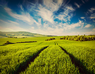 Image showing Green fields of Moravia