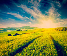 Image showing Sunset in field