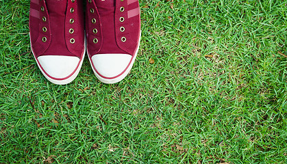 Image showing Shoes on Grass