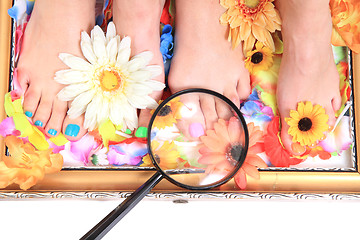 Image showing nice legs with pedicure