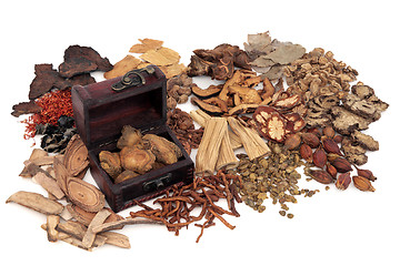 Image showing Chinese Herbs