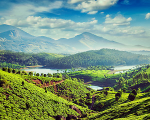 Image showing Tea plantations and river in hills near Munnar, Kerala, India