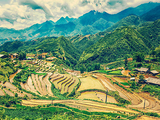 Image showing Rice field terraces. Near Sapa, Mui Ne