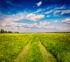 Image showing Spring summer - rural road in green field scenery lanscape 