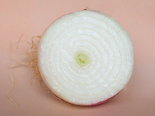 Image showing Onion vegetable sliced