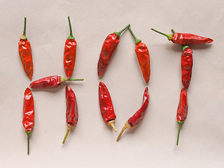 Image showing Hot chili pepper vegetables