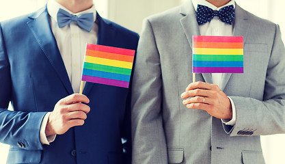 Image showing close up of male gay couple holding rainbow flags