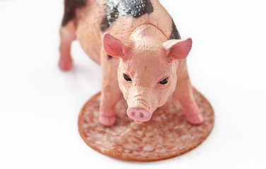 Image showing Miniature Pig with a slice of saussage