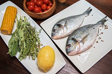 Image showing Fresh uncooked dorado 