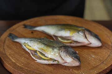 Image showing Fresh uncooked dorado 