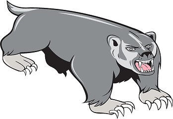 Image showing Badger Pouncing Cartoon