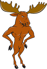 Image showing Moose Standing Hands Akimbo Cartoon