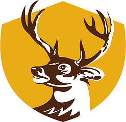 Image showing Whitetail Deer Buck Head Crest Retro