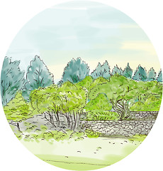 Image showing Trees in Park with Cornwall Oval Watercolor