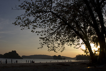 Image showing Beach framed by tree