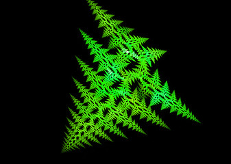 Image showing Plant like fractal