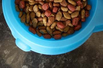 Image showing Cat food