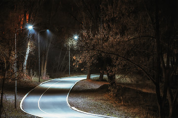 Image showing Bicycle path in the night park