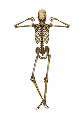 Image showing 3D Illustration Human Skeleton on White