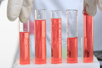 Image showing hands holding test tubes with chemical elements. 