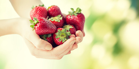 Image showing close up of woman hands holding strawberries