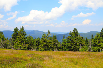 Image showing jeseniky mountains nature