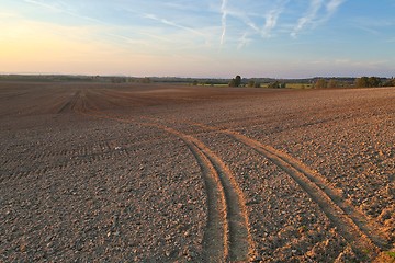 Image showing Agircutural field in late sunlight