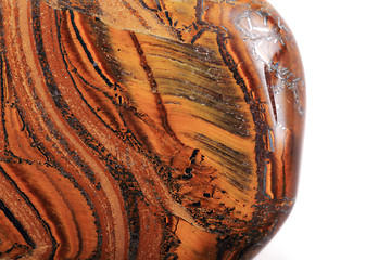 Image showing tiger eye isolated