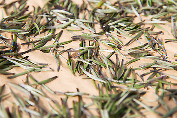 Image showing close up of tea raw drying