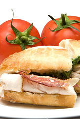 Image showing gourmet chicken sandwich