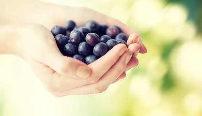 Image showing close up of woman hands holding blueberries