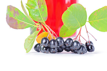 Image showing Macro shot of aronia