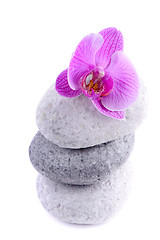 Image showing Stack of spa stones with flower 