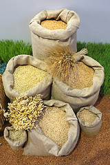 Image showing Grains