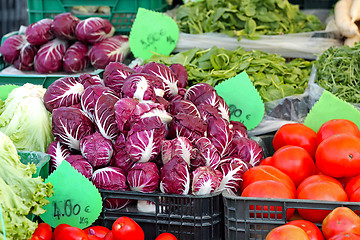 Image showing Radicchio