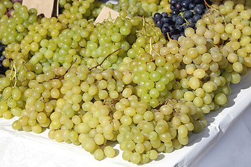 Image showing Grapes