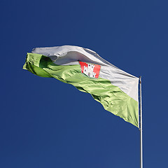 Image showing Flag of Ljubljana