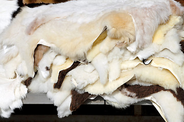 Image showing Sheepskins