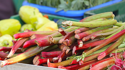 Image showing Rhubarb