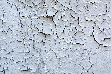 Image showing Cracked Paint