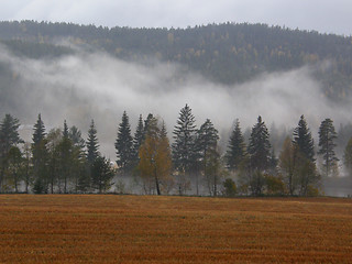 Image showing mist,tåke