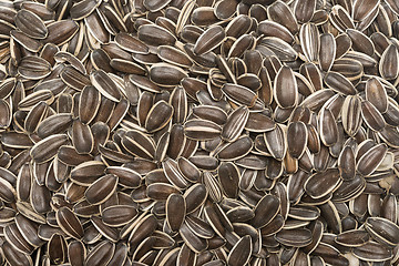 Image showing raw sunflower seeds