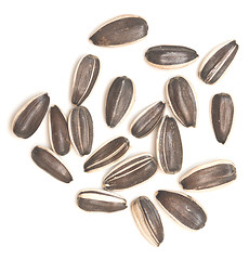 Image showing raw sunflower seeds