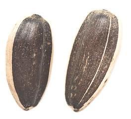 Image showing raw sunflower seeds